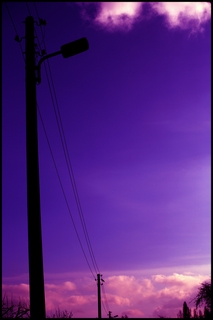 mast1